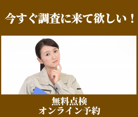 調査